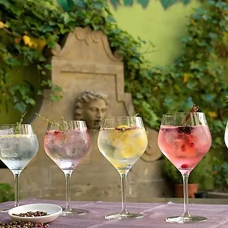 Palacio Del Obispo Graus